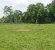 Click here to see full size